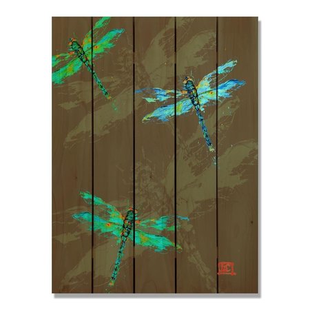 RICKI&APOSS RUGS 28 x 36 in. Crousers Neon Dragonflies Inside & Outside Cedar Wall Art RI890971